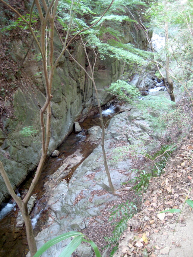IMG_0559